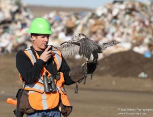 Anna Landfill IV